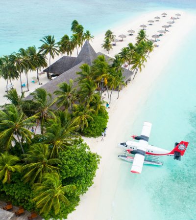 plane parked beside the trees on seashore